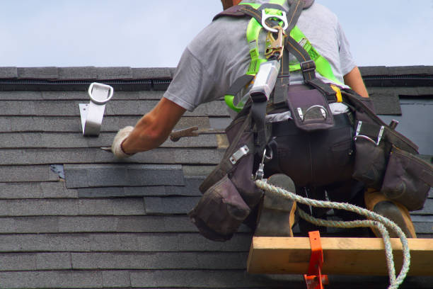 Best Flat Roof Repair Services  in Mount Zion, IL