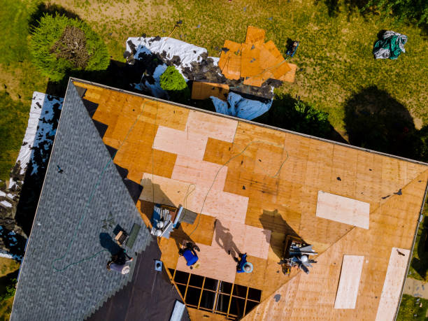 Roof Gutter Cleaning in Mount Zion, IL