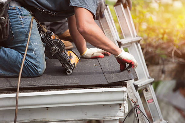 Best Roof Repair Services  in Mount Zion, IL